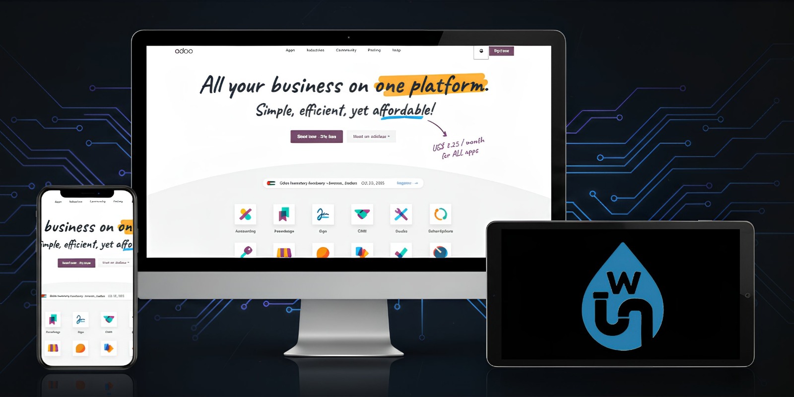 Odoo Accounting System